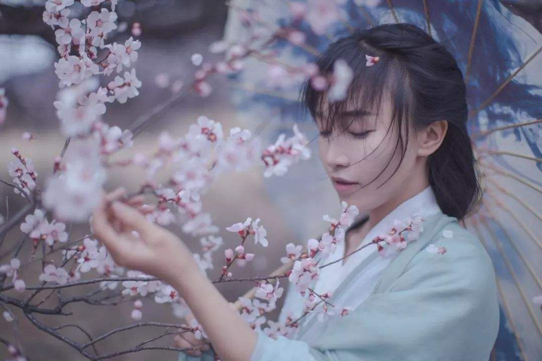 月收入千萬(wàn),網(wǎng)紅李子柒火了!背后公司注冊(cè)百余商標(biāo)!