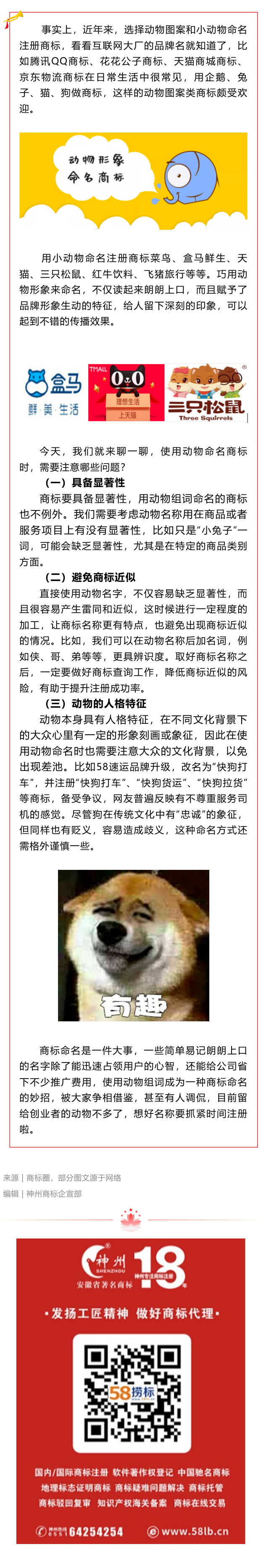選擇小動物命名商標，需要注意什么呢？